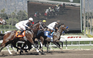 Tips for being a successful sports betting bookmaker